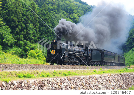 SL Yamaguchi D51 9895 129546467