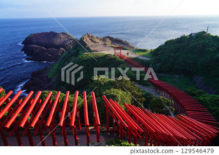 紅色鳥居元乃隅神社 276 129546479