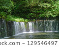 Shiraito瀑布 129546497