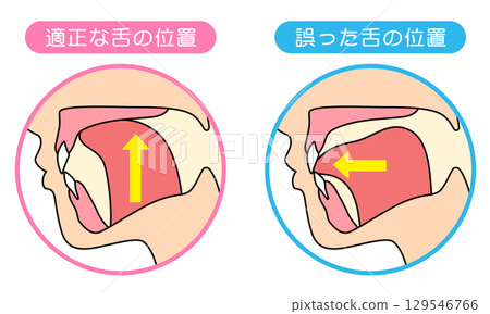 如何正確喵喵叫：正確且不正確的舌頭位置 129546766