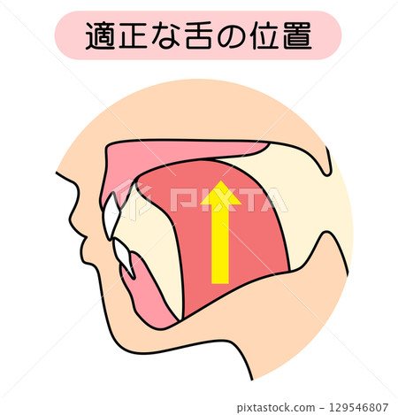 How to mew properly: correct and incorrect tongue position 129546807