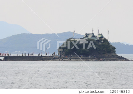 Tsushima Shrine, a floating guardian deity for children in Minocho, Mitoyo City, Kagawa Prefecture (Summer Festival) 129546813