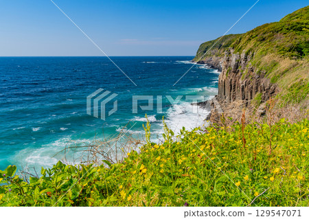 [Ikitsuki Island, Nagasaki Prefecture] Shiotawara Cliffs with beautiful columnar joints 129547071