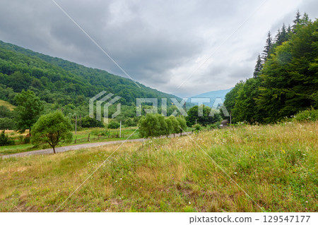 countryside landscape with overcast sky in summer. forest on the grassy hill. cloudy weather forecast. remote rural scenery in carpathian mountains 129547177
