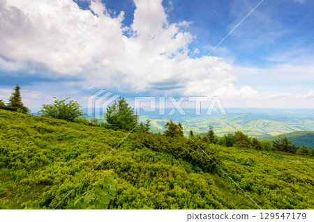 scenic summer landscape with green hill and cloudy sky. view from the slope in to the valley. countryside vacation in carpathian mountains 129547179
