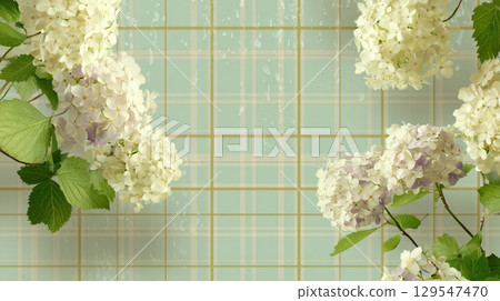 清新的佈局，淡淡的繡球花和格子背景 129547470