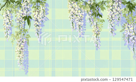 美麗的紫藤花在蒼白的背景上綻放插圖 129547471