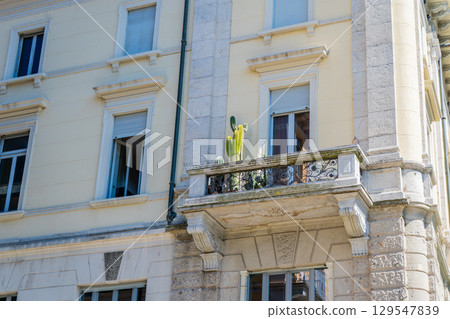 Window balcony with cacti flower plant. Italian style facade street house 129547839