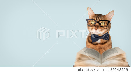 Bengal cat with glasses, bow tie and book 129548339