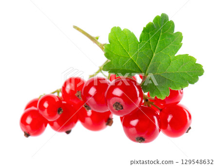 Red currant isolated on white background. Redcurrant or Ribes rubrum ripe berries with green leaves. 129548632