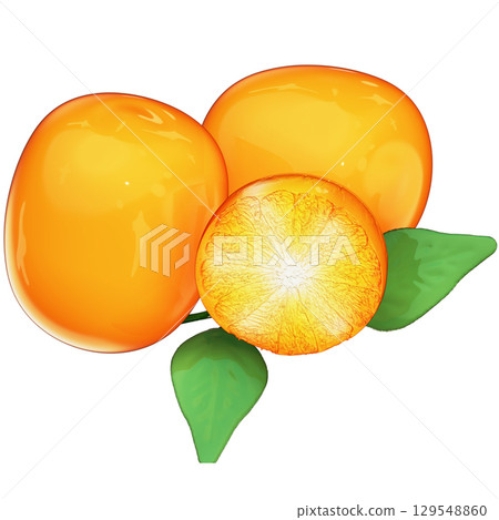 Realistic 3D Kumquat Fruit with Leaf Isolated with Transparent Background Realistic 3D Kumquat Fruit with Leaf Isolated with Transparent Background 129548860