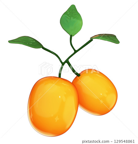 Realistic 3D Two Kumquat Fruits with Leaves Isolated with Transparent Background 129548861