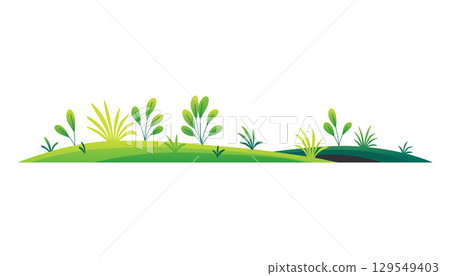 Green lawn with grass and plants on white background, composition of plants on the sunny lawn 129549403