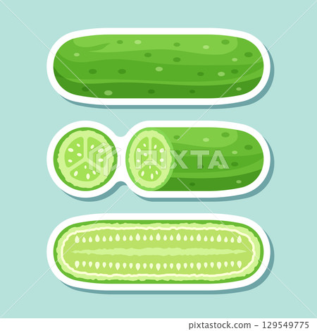 Cucumber vegetable sticker icon set collection in flat style. Gherkin plant vector illustration on isolated background. Healthy food sign business concept. Cucumber vegetable sticker icon set collection in flat style. Gherkin plant vector illustration on isolated background. Healthy food sign business concept. 129549775