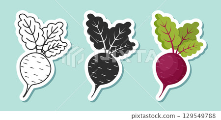 Beetroot vegetable with leaves sticker icon set collection in flat style. Beet plant vector illustration on isolated background. Healthy food sign business concept. 129549788