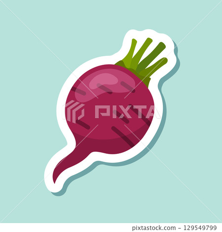 Beetroot vegetable with leaves sticker icon in flat style. Beet plant vector illustration on isolated background. Healthy food sign business concept. 129549799