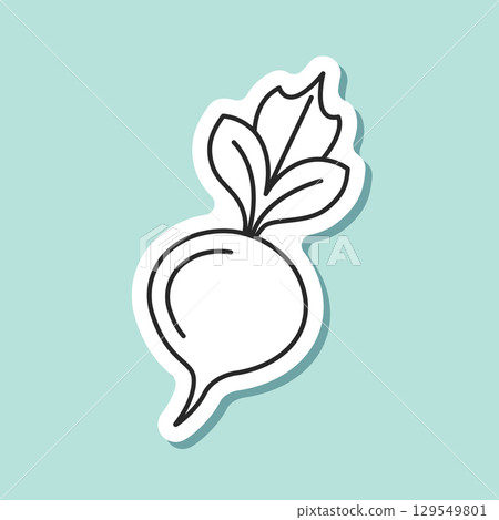 Beetroot vegetable with leaves sticker icon in flat style. Beet plant vector illustration on isolated background. Healthy food sign business concept. 129549801