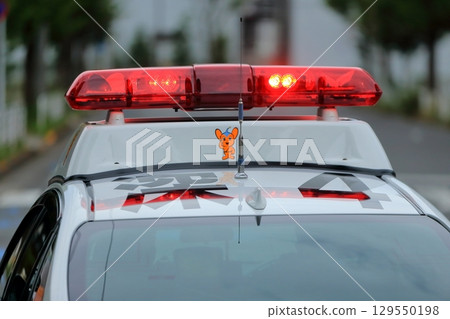 Patramp image 129550198
