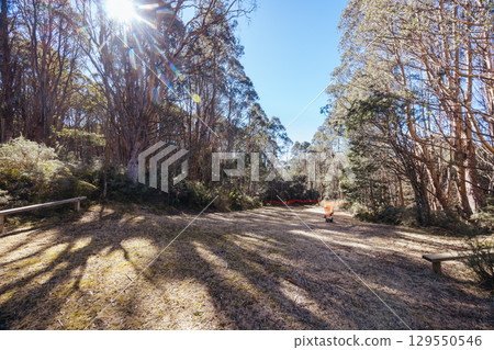 Mt St Gwinear Ski Resort in Australia 129550546