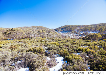 Mt St Gwinear in Baw Baw Australia 129550549