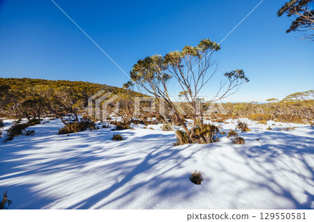 Phillack Saddle in Baw Baw Australia Phillack Saddle in Baw Baw Australia 129550581