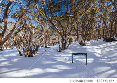 Phillack Saddle in Baw Baw Australia 129550587