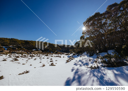 Mt St Gwinear in Baw Baw Australia Mt St Gwinear in Baw Baw Australia 129550590
