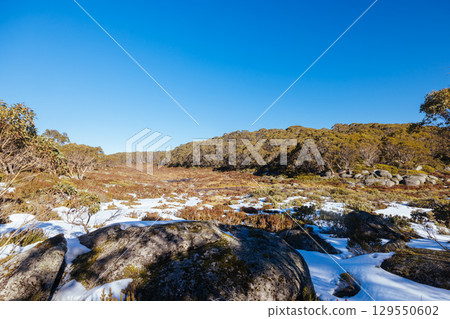 Mt St Gwinear in Baw Baw Australia 129550602