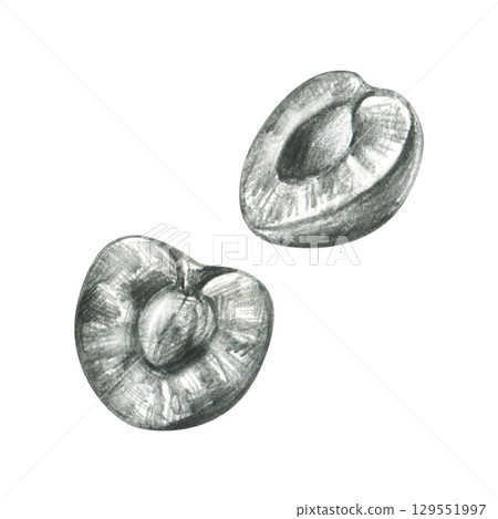 Two halved cherries showing seed and inner texture, hand drawn line art illustration in grey graphite pencil, ideal for culinary design, fruit icons, packaging labels and decorative elements. Two halved cherries showing seed and inner texture, hand drawn line art illustration in grey graphite pencil, ideal for culinary design, fruit icons, packaging labels and decorative elements. 129551997