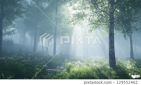 Beautiful forest scenery with sunlight streaming in 129552462