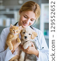 Cute kitten and puppy in the arms of a female veterinarian, in a veterinary clinic. Concept of advertising veterinary services and pet care.  129552652