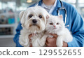 Cute kitten and puppy in the arms of a female veterinarian, in a veterinary clinic. Concept of advertising veterinary services and pet care.  129552655