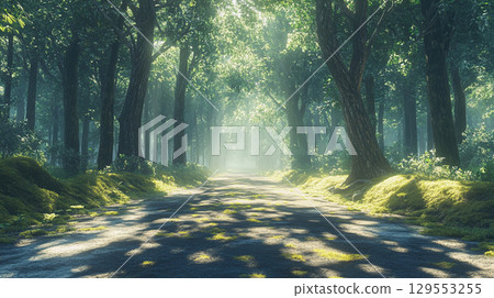 陽光穿過樹林的一條小路 陽光穿過樹林的一條小路 129553255