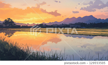 夕陽映照下的稻田風景 129553505