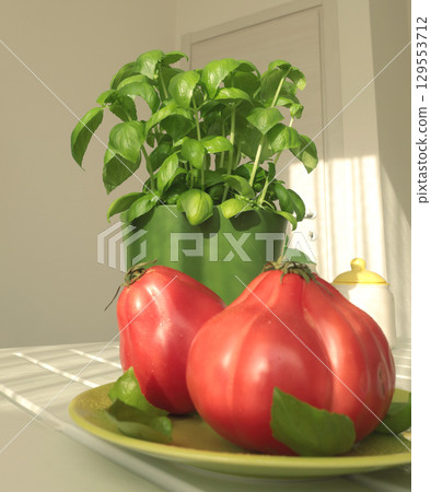 Basil in green pot and tomato. Vegetables and greens at home. Healthy eating. Environmentally friendly products. Mediterranean diet. 129553712