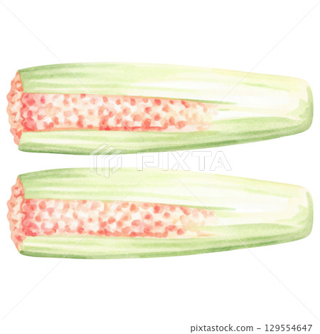 Fresh and vibrant food illustration of sliced celery showcasing its texture clipart isolated on transparency background 129554647