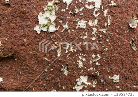 Weathered red rock surface with lichen patches and textured erosion detail Weathered red rock surface with lichen patches and textured erosion detail 129554723