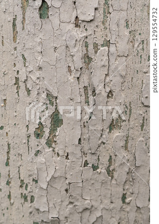 Weathered peeling paint on wood surface showing green underlayer 129554732