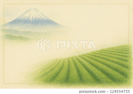 Postcard Tea Field Mt. Fuji 129554735