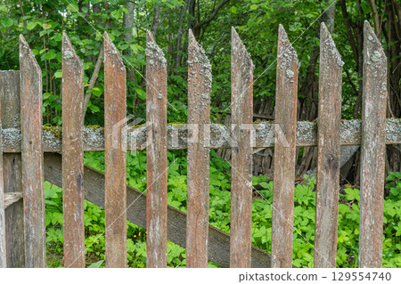 Weathered wooden fence with green moss in forested area 129554740