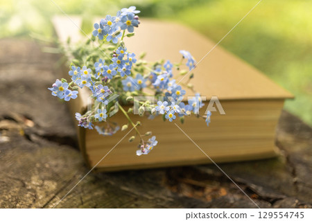 Book with forget-me-nots on tree stump in sunlit garden 129554745