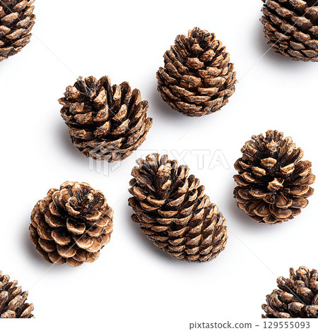 Perfect pine cones for Christmas decorations 129555093