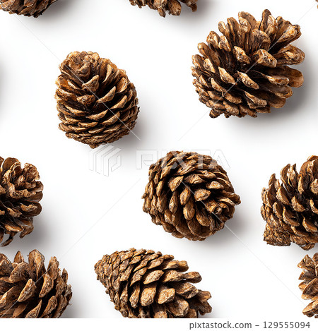 Autumn and winter pine cone background 129555094