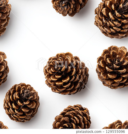 Scattered pine cones on a white background Scattered pine cones on a white background 129555096