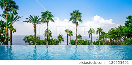 Luxurious Infinity Pool surrounded by palms and ocean view 129555491