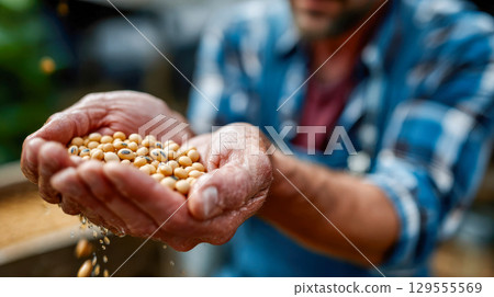 Hands holding a burlap sack filled with freshly harvested soybeans Hands holding a burlap sack filled with freshly harvested soybeans 129555569