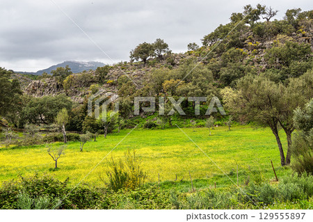 Hiking a walking route at Portalegre, Portugal. Percurso Pedestre de Galegos 129555897