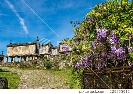 The communitarian granaries, called espigueiros, in the village of Lindoso, Peneda National Park, Northern Portugal 129555911