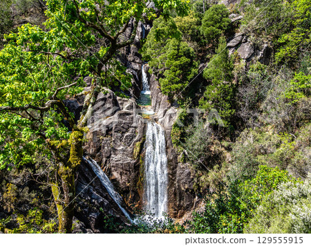 The beautiful Arado Waterfall, Cascata do Arado at the Peneda Geres National Park in Portugal, Europe 129555915
