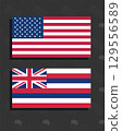 Vector illustration of the American and Hawaiian state flags displayed together as official symbols of patriotism and culture. 129556589